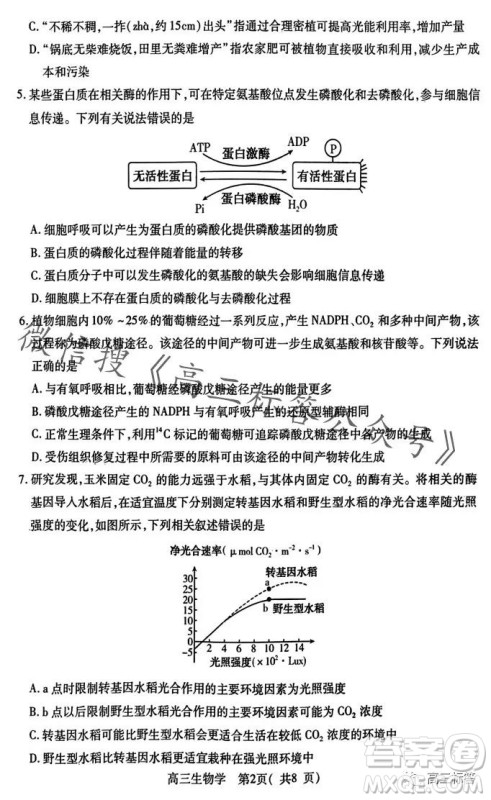 平许济洛2023-2024学年高三第一次质量检测生物试卷答案