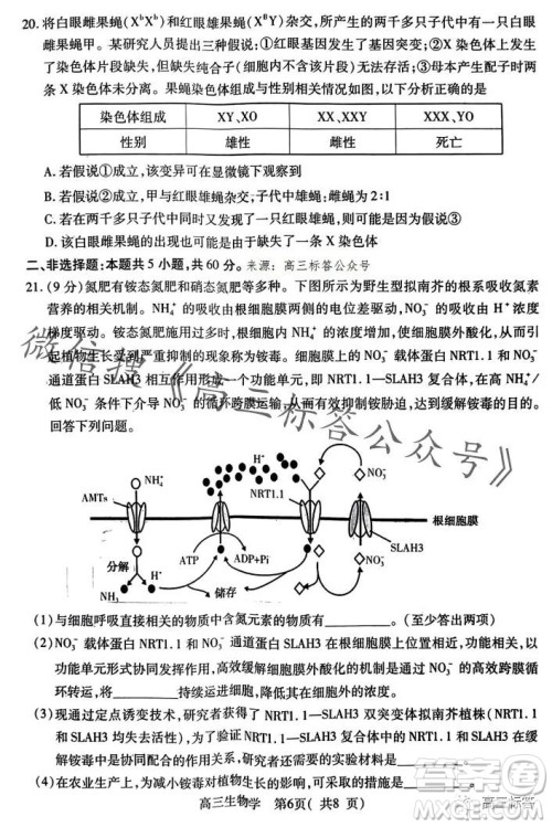 平许济洛2023-2024学年高三第一次质量检测生物试卷答案