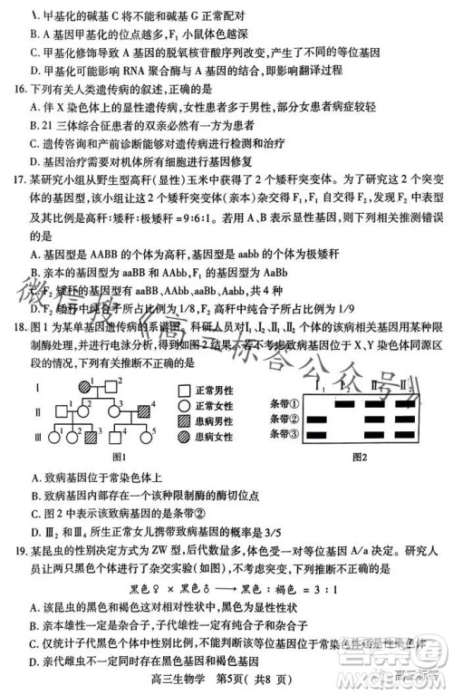 平许济洛2023-2024学年高三第一次质量检测生物试卷答案