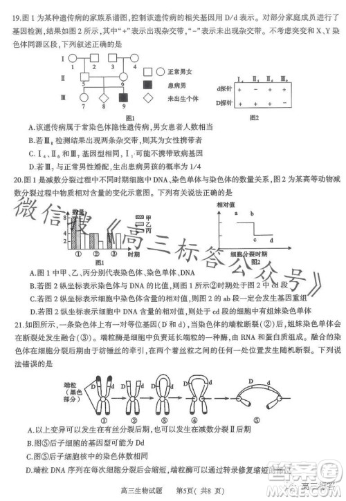 信阳2023-2024学年普通高中高三第一次教学质量检测生物试卷答案