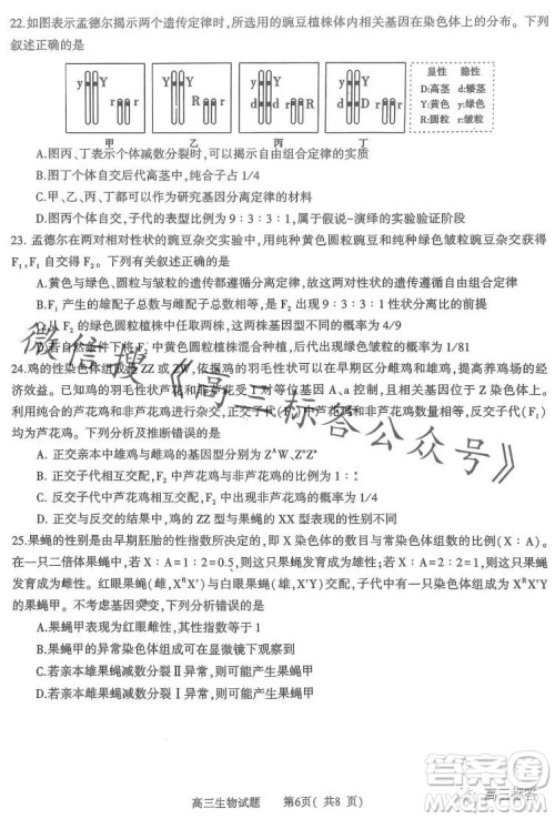 信阳2023-2024学年普通高中高三第一次教学质量检测生物试卷答案