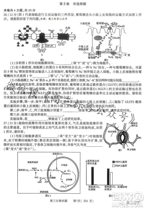 信阳2023-2024学年普通高中高三第一次教学质量检测生物试卷答案