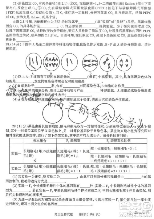 信阳2023-2024学年普通高中高三第一次教学质量检测生物试卷答案