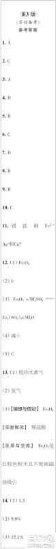 时代学习报初中版2023年秋九年级化学上册13-16期参考答案
