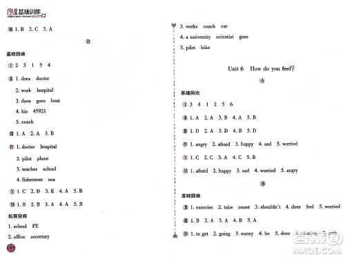 安徽少年儿童出版社2023年秋新编基础训练六年级英语上册人教版答案