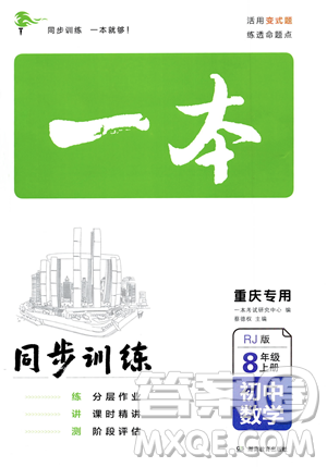 湖南教育出版社2023年秋一本同步训练八年级数学上册人教版重庆专版答案 湖南教育出版社2023年秋一本同步训练八年级数学上册人教版重庆专版答案