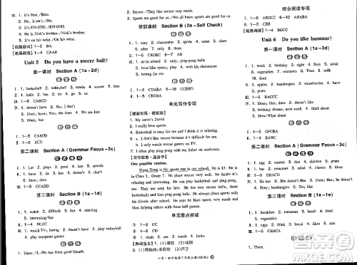 湖南教育出版社2023年秋一本同步训练七年级英语上册人教版答案