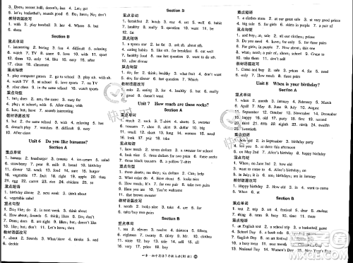 湖南教育出版社2023年秋一本同步训练七年级英语上册人教版答案
