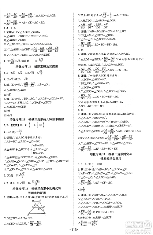 湖南教育出版社2023年秋一本同步训练九年级数学上册沪科版安徽专版答案
