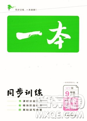湖南教育出版社2023年秋一本同步训练九年级英语上册外研版答案