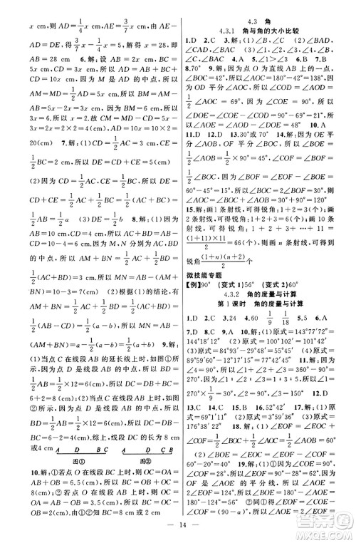 新疆青少年出版社2023年秋黄冈金牌之路练闯考七年级数学上册湘教版答案