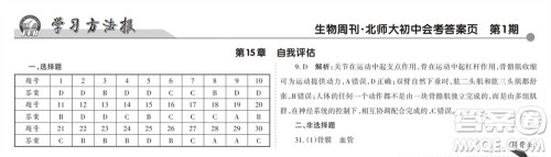 学习方法报2023-2024学年九年级生物北师大初中会考①-⑥期小报参考答案