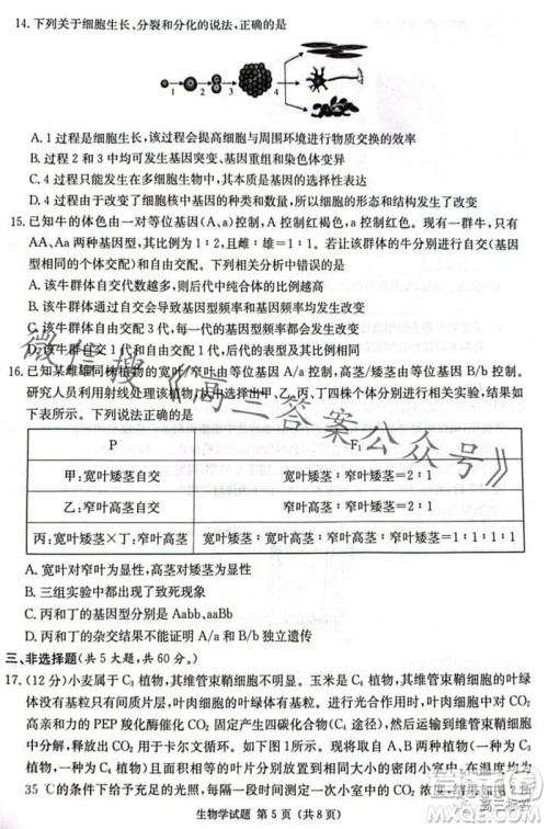 炎德英才名校联考联合体2024届高三第三次联考生物试卷答案 炎德英才名校联考联合体2024届高三第三次联考生物试卷答案