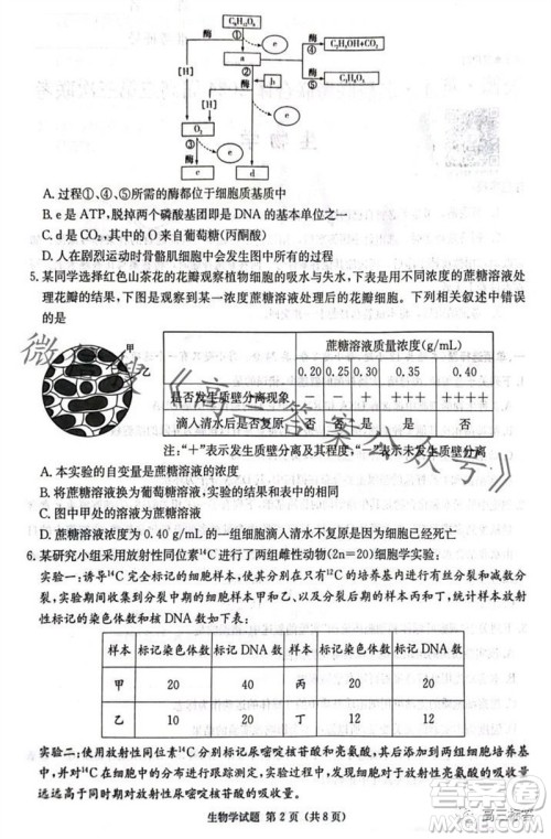 炎德英才名校联考联合体2024届高三第三次联考生物试卷答案 炎德英才名校联考联合体2024届高三第三次联考生物试卷答案