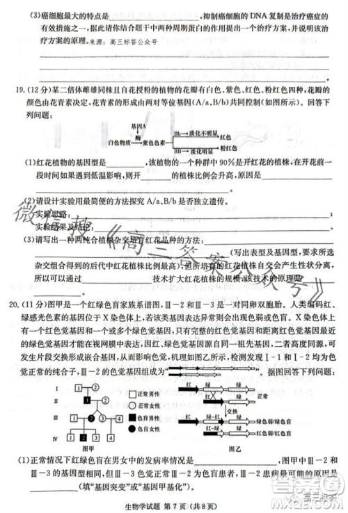 炎德英才名校联考联合体2024届高三第三次联考生物试卷答案 炎德英才名校联考联合体2024届高三第三次联考生物试卷答案