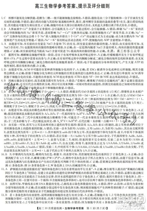 2024届九师联盟高三10月质量检测生物试卷答案 2024届九师联盟高三10月质量检测生物试卷答案