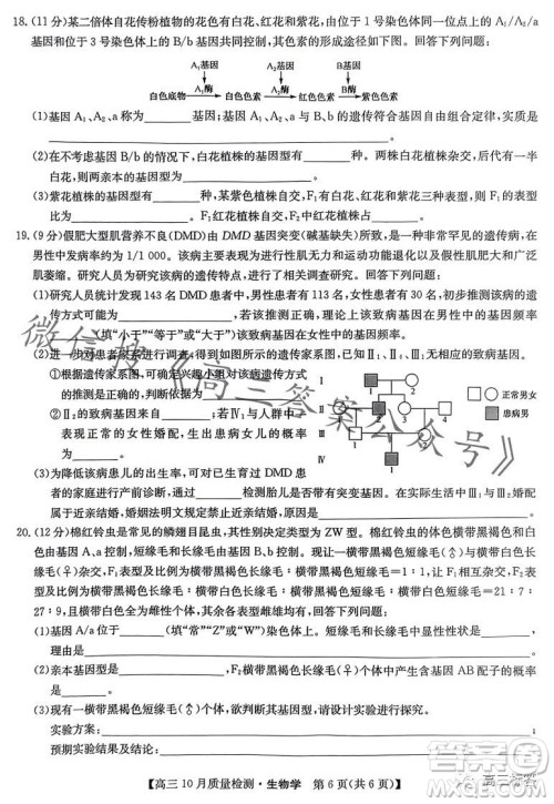 2024届九师联盟高三10月质量检测生物试卷答案 2024届九师联盟高三10月质量检测生物试卷答案