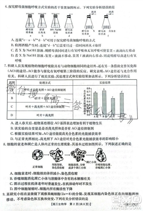 2024届河南金太阳高三10月26日24-97C联考生物试卷答案 2024届河南金太阳高三10月26日24-97C联考生物试卷答案