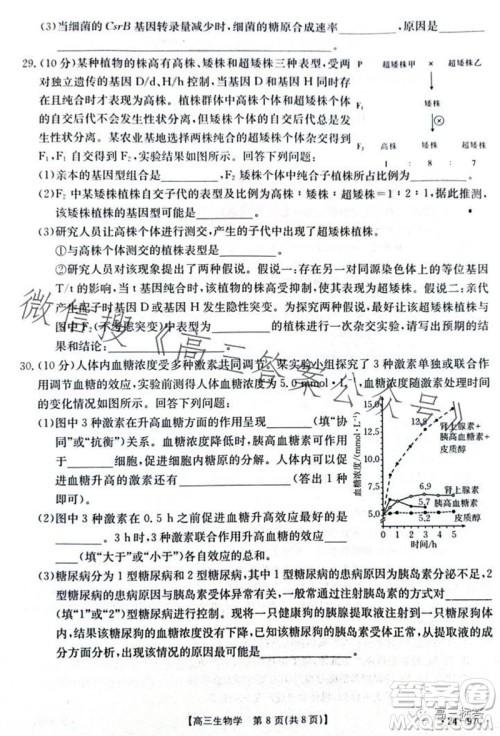 2024届河南金太阳高三10月26日24-97C联考生物试卷答案 2024届河南金太阳高三10月26日24-97C联考生物试卷答案