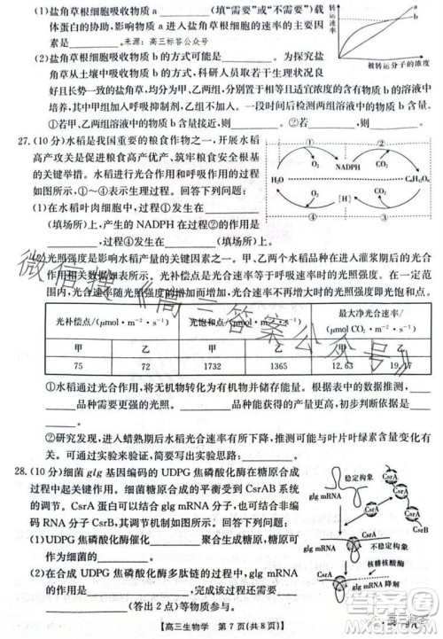 2024届河南金太阳高三10月26日24-97C联考生物试卷答案 2024届河南金太阳高三10月26日24-97C联考生物试卷答案