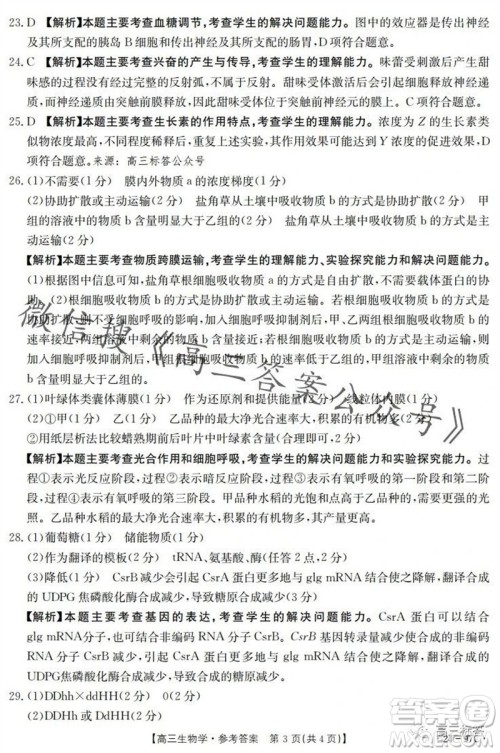 2024届河南金太阳高三10月26日24-97C联考生物试卷答案 2024届河南金太阳高三10月26日24-97C联考生物试卷答案