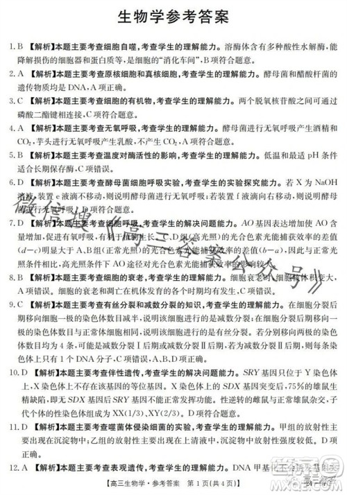 2024届河南金太阳高三10月26日24-97C联考生物试卷答案 2024届河南金太阳高三10月26日24-97C联考生物试卷答案