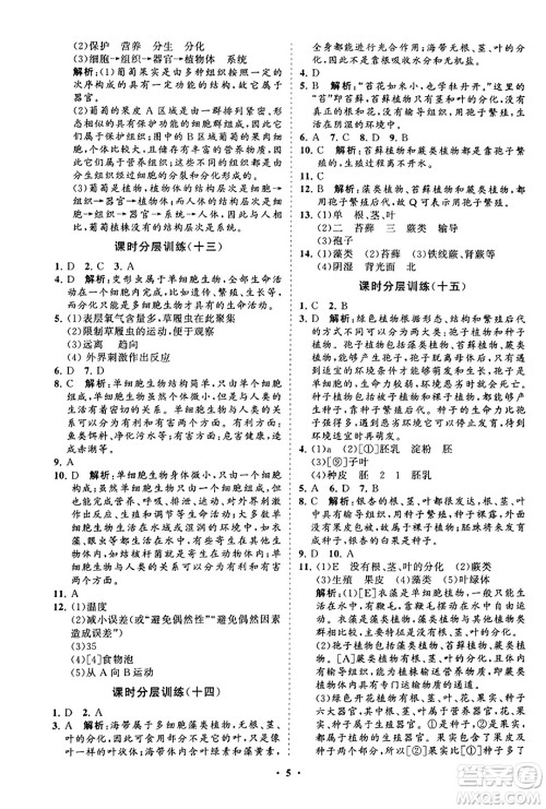 山东教育出版社2023年秋初中同步练习册分层卷七年级生物学上册人教版答案