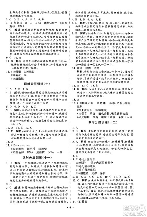 山东教育出版社2023年秋初中同步练习册分层卷七年级生物学上册人教版答案