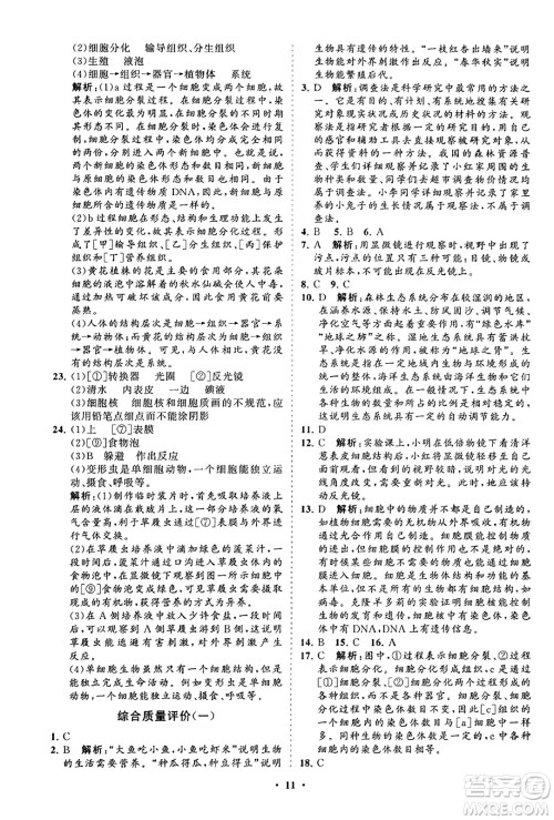 山东教育出版社2023年秋初中同步练习册分层卷七年级生物学上册人教版答案