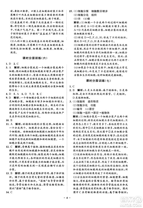 山东教育出版社2023年秋初中同步练习册分层卷七年级生物学上册通用版答案