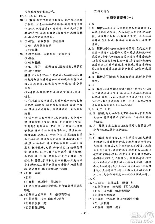 山东教育出版社2023年秋初中同步练习册分层卷七年级生物学上册通用版答案