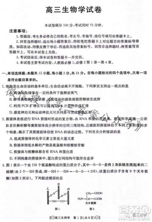 2024届江西金太阳联考高三10月26日生物试卷答案 2024届江西金太阳联考高三10月26日生物试卷答案