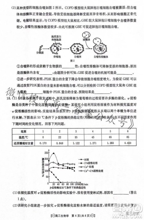 2024届江西金太阳联考高三10月26日生物试卷答案 2024届江西金太阳联考高三10月26日生物试卷答案
