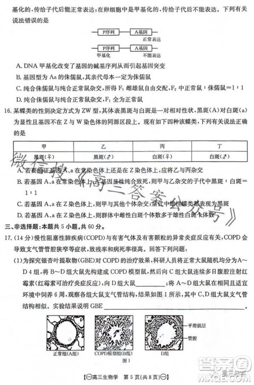 2024届江西金太阳联考高三10月26日生物试卷答案 2024届江西金太阳联考高三10月26日生物试卷答案