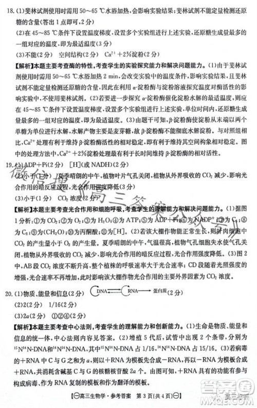 2024届江西金太阳联考高三10月26日生物试卷答案 2024届江西金太阳联考高三10月26日生物试卷答案