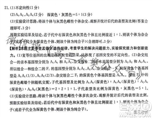 2024届江西金太阳联考高三10月26日生物试卷答案 2024届江西金太阳联考高三10月26日生物试卷答案