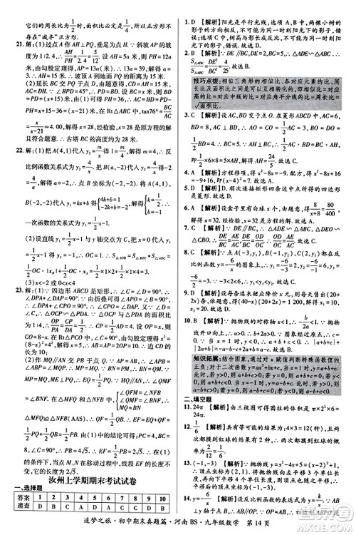 天津科学技术出版社2023年秋追梦之旅初中期末真题篇九年级数学上册北师大版河南专版答案