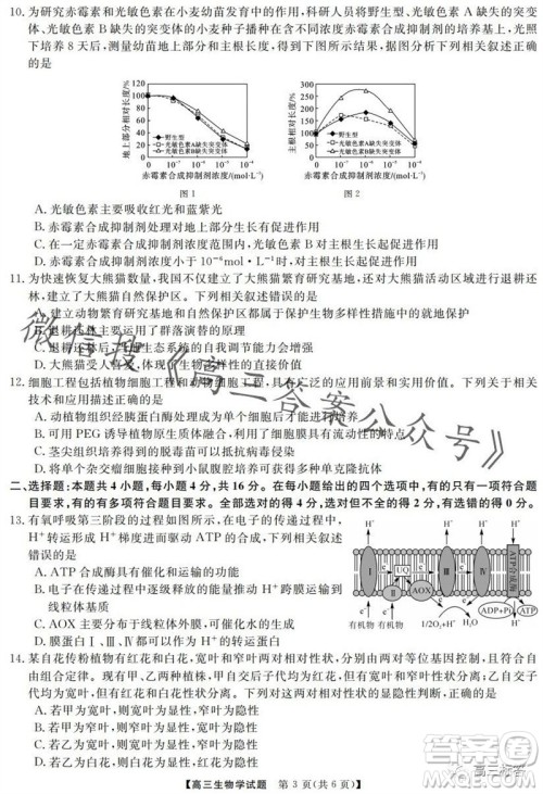 三湘名校教育联盟2024届高三10月大联考生物试题及答案 三湘名校教育联盟2024届高三10月大联考生物试题及答案