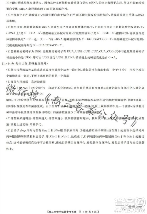 三湘名校教育联盟2024届高三10月大联考生物试题及答案 三湘名校教育联盟2024届高三10月大联考生物试题及答案