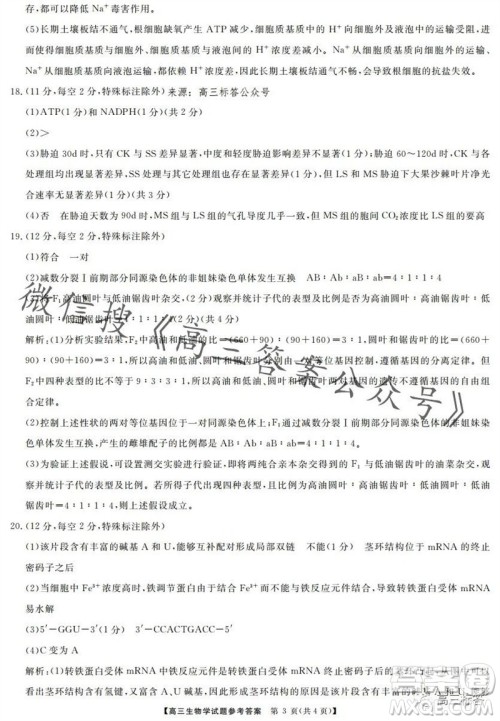 三湘名校教育联盟2024届高三10月大联考生物试题及答案 三湘名校教育联盟2024届高三10月大联考生物试题及答案