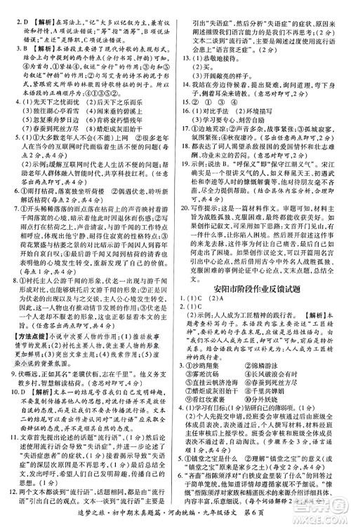 天津科学技术出版社2023年秋追梦之旅初中期末真题篇九年级语文全一册人教版河南专版答案 天津科学技术出版社2023年秋追梦之旅初中期末真题篇九年级语文全一册人教版河南专版答案