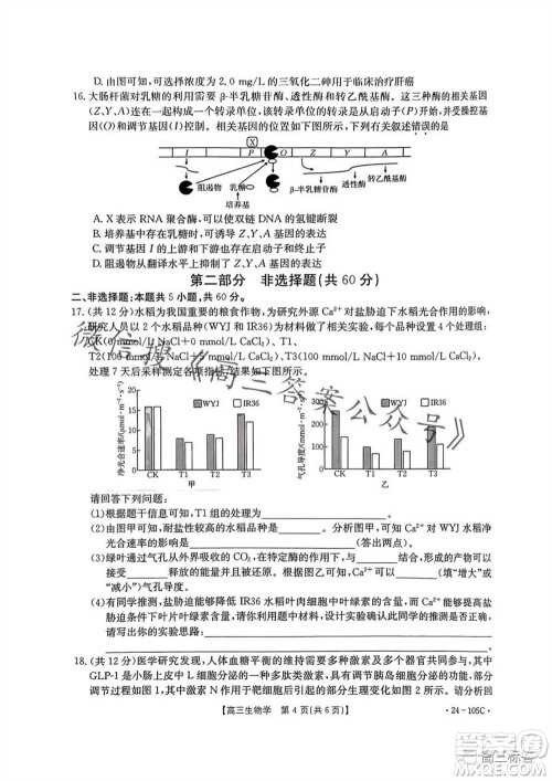 湛江市2024届高三10月调研测试24-105C生物试卷答案 湛江市2024届高三10月调研测试24-105C生物试卷答案