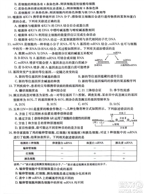 2024届贵州金太阳高三10月26日24-111C联考生物试卷答案 2024届贵州金太阳高三10月26日24-111C联考生物试卷答案