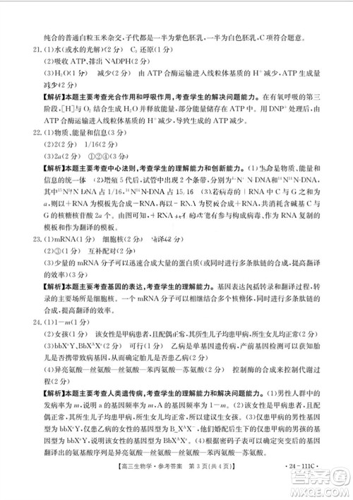 2024届贵州金太阳高三10月26日24-111C联考生物试卷答案 2024届贵州金太阳高三10月26日24-111C联考生物试卷答案