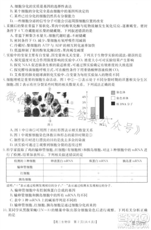 2024届河北高三10月份质检联盟期中考试24-116C生物试卷答案 2024届河北高三10月份质检联盟期中考试24-116C生物试卷答案