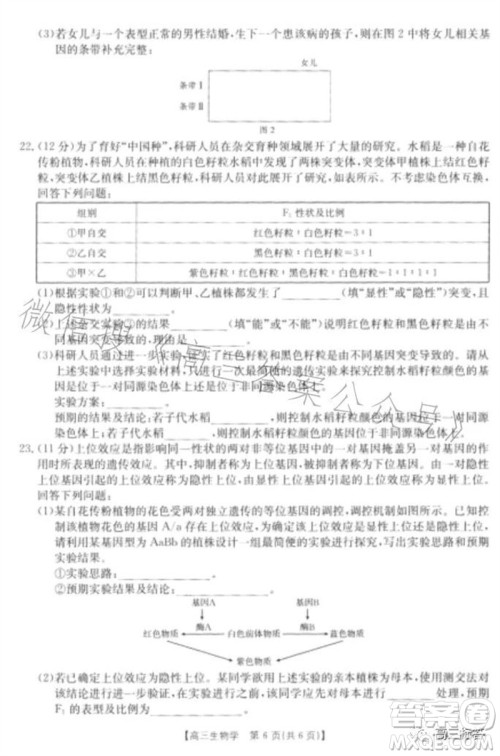2024届河北高三10月份质检联盟期中考试24-116C生物试卷答案 2024届河北高三10月份质检联盟期中考试24-116C生物试卷答案