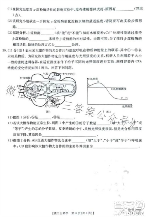 2024届新疆金太阳联考高三10月30日24-46C生物试卷答案 2024届新疆金太阳联考高三10月30日24-46C生物试卷答案