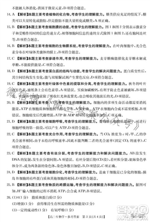 2024届新疆金太阳联考高三10月30日24-46C生物试卷答案 2024届新疆金太阳联考高三10月30日24-46C生物试卷答案
