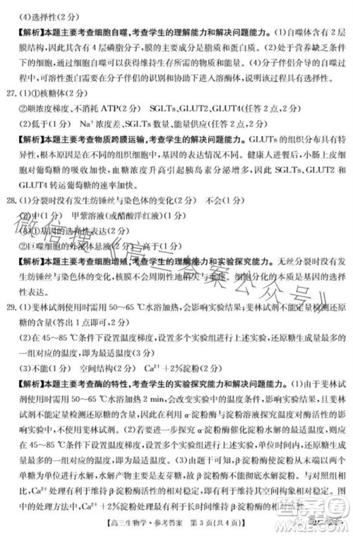 2024届新疆金太阳联考高三10月30日24-46C生物试卷答案 2024届新疆金太阳联考高三10月30日24-46C生物试卷答案