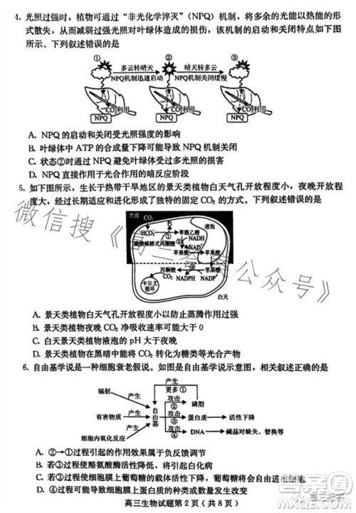 保定市2024届高三10月份摸底考试生物试题答案 保定市2024届高三10月份摸底考试生物试题答案